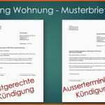 Allerbeste Kündigung Wohnung Mietvertrag Vorlage