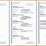 Allerbeste Lebenslauf Vorlage Word Download Für Different 30 Elegant