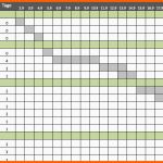 Am Beliebtesten Kostenlose Excel Vorlage Für Projektplanung