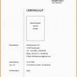 Angepasst 15 Deckblatt Lebenslauf Vorlage