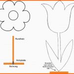 Angepasst Holzblumen Als Frühlingshafte Dekoration