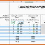 Angepasst Mitarbeiterqualifikation Effektiv Steuern