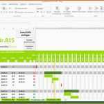 Angepasst Projektplan Excel