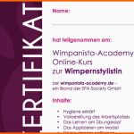 Angepasst Schulung Wimpernverlängerung Mit Wimpanista Academy