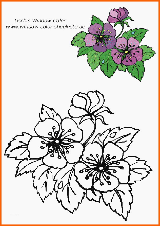 atemberaubend blumen vorlagen 1 draw flowers von blumen vorlage