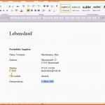 Atemberaubend Einfacher Tabellarischer Lebenslauf In Word