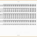 Atemberaubend Excel Handbuch 2013 Oder Stundenzettel Excel Vorlage