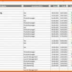 Außergewöhnlich Projektstrukturplan Vorlage Excel Kostenlos Papacfo