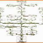 Außergewöhnlich Stammbaum Erstellen Vorlage Schönste Suhrsoft