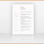 Ausgezeichnet Anschreiben Bewerbung Englisch Coverletter Example Cv Muster