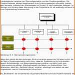 Ausgezeichnet Matrix Projektorganisation Definition Beispiel