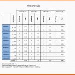 Ausgezeichnet Paarweiser Vergleich Nutzwertanalyse Incl Excel Vorlage