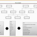 Ausgezeichnet Stammbaum Arbeitsblatt Kostenlose Daf Arbeitsblätter