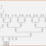 Ausgezeichnet Stammbaum Vorlage Zum Ausdrucken Neu Stammbaum