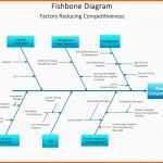 Ausnahmsweise 20 ishikawa Diagramm Vorlage