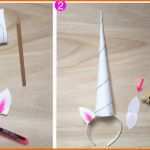 Ausnahmsweise Diy Einhorn Kostüm Einfach Selber Machen