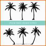 Ausnahmsweise Palm Vectors S and Psd Files