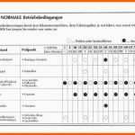 Ausnahmsweise Wartungsplan Vorlage Excel Cool Template Vorlage Ideen