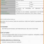 Beeindruckend 1 Checkliste Vorlage Projektbeschreibung Und Finanzplan