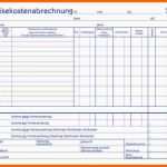 Beeindruckend Reisekosten Excel Vorlage Kostenlos – De Excel