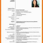 Bemerkenswert 13 Curriculum Vitae Vorlage Deutsch