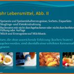 Bemerkenswert Haccp Hygieneschulung Haccp Schulung Auf Cd Rom Vorlage