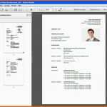 Bemerkenswert Pdf Bewerbung Erstellen Vorlage Schlicht Tabellarischer