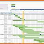 Bemerkenswert Projektplan Excel Download