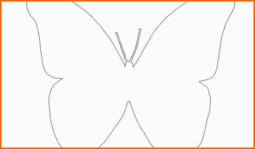 schmetterling vorlagen zum ausschneiden schmetterling schablone zum ausschneiden einzigartig s s media cache