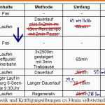 Bemerkenswert Trainingsplan Pferd Vorlage Abnehmen Mit Almased Ohne