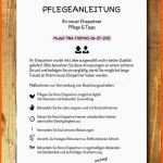 Bemerkenswert Wanddeko Druckvorlage Print Pdf Pflegeanleitung