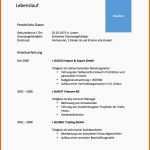 Bestbewertet Curriculum Vitae Cv Lebenslauf Vorlage