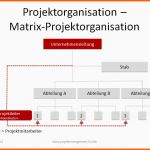 Bestbewertet Matrix Projektorganisation