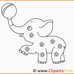 Beste Ausmalbild Zum Drucken Elefant Im Zirkus