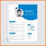 Beste Corporate Curriculum Vitae Vorlage