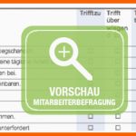 Beste Die Mitarbeiterbefragung Als Authentisches Feedback Aus