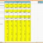 Einzahl Excel Vorlage Rentabilitätsplanung Kostenlose Vorlage