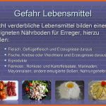 Einzahl Haccp Hygieneschulung Haccp Schulung Auf Cd Rom Vorlage