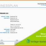 Einzahl Muster Businessplan