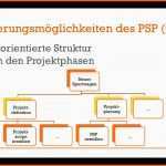 Einzahl Projektmanagement Projektstrukturplan Psp