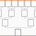 Einzigartig 1 Was ist Geschichte – Ibims Geschichte