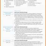 Einzigartig Cv Templates Professional Curriculum Vitae Templates