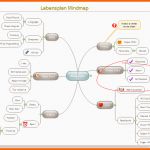 Einzigartig Lebensplan Mind Map