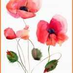 Einzigartig Stylized Poppy Flowers Illustration Painting by Regina