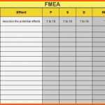 Empfohlen 15 Prozess Fmea Vorlage