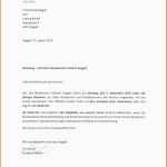 Empfohlen Bewerbung Ausbildung Vorlage 6 Second Resume Template