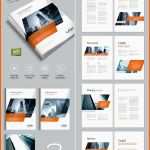 Erschwinglich 20 Best Indesign Brochure Templates for Creative