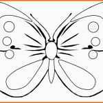 Erschwinglich Schmetterling Vorlage Zum Ausdrucken Frisch 74 Einzigartig