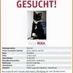 Erschwinglich Vermisstenanzeige Katze Vorlage Hbsch Hilfe Unser Bsi ist