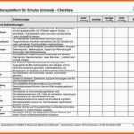 Erstaunlich 13 Checkliste Vorlage Excel
